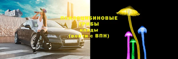 соль ск Балахна