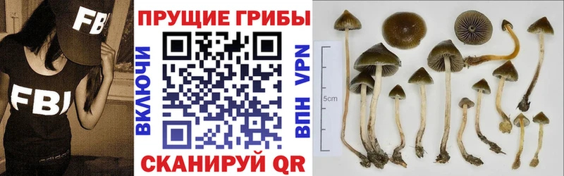 Галлюциногенные грибы GOLDEN TEACHER  где купить наркоту  Кирово-Чепецк 